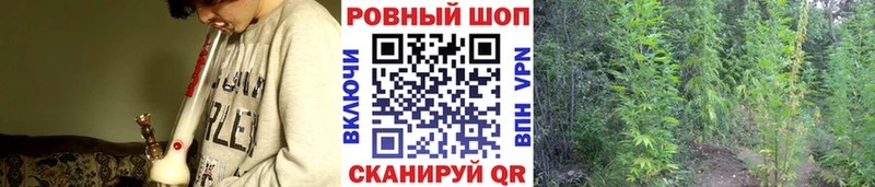 Наркошоп купить КОКАИН  АМФЕТАМИН  СОЛЬ  Конопля  Гашиш  Меф  Моздок